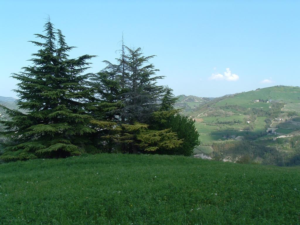 Campo Rosso
