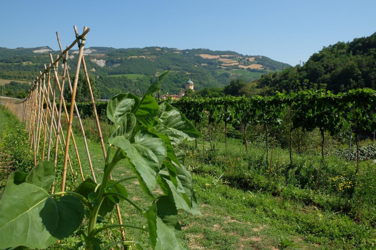 Bauernhof Campo Rosso *