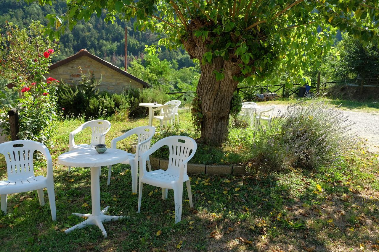 Campo Rosso Bauernhof Civitella di Romagna