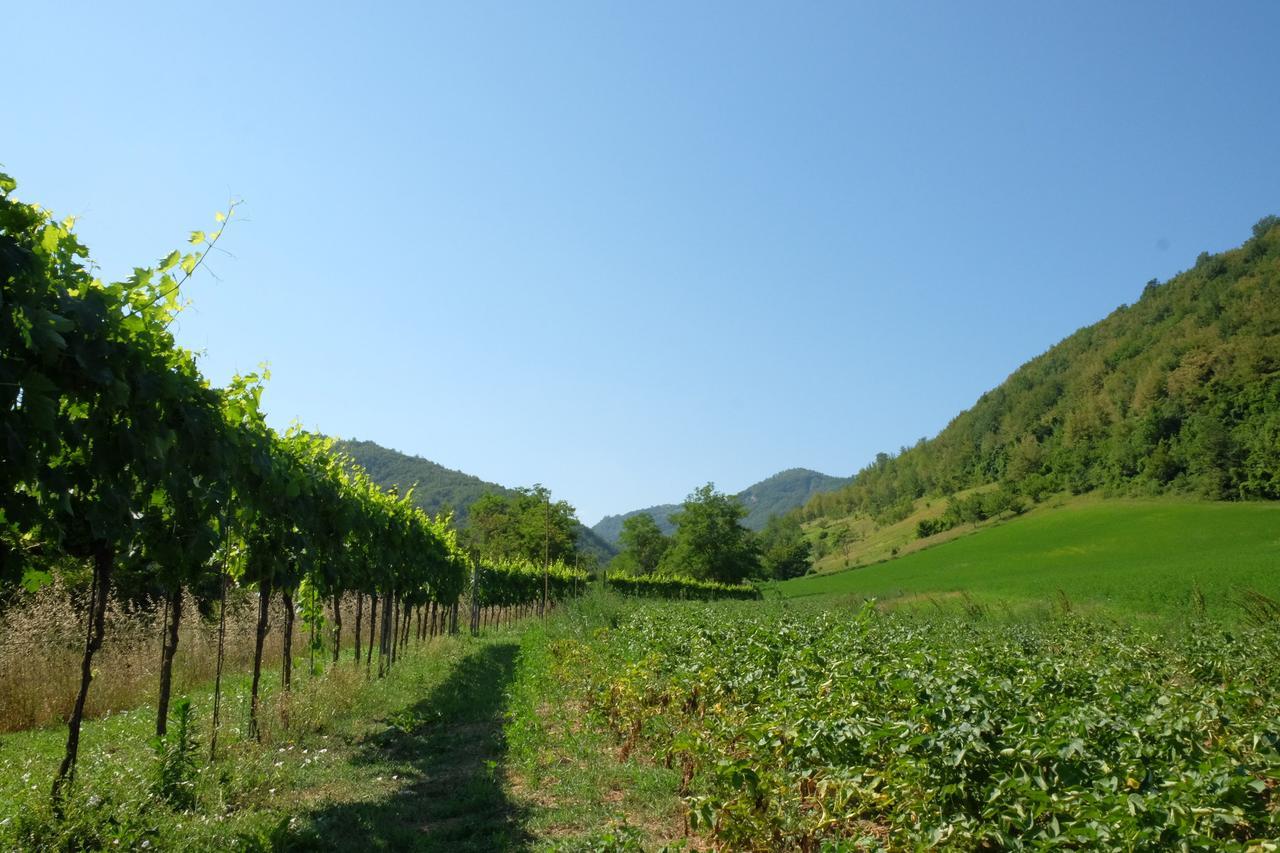 Bauernhof Campo Rosso *